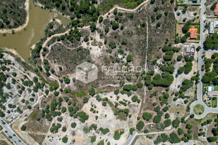 Terreno para Venda em Santo Estêvão Foto 9