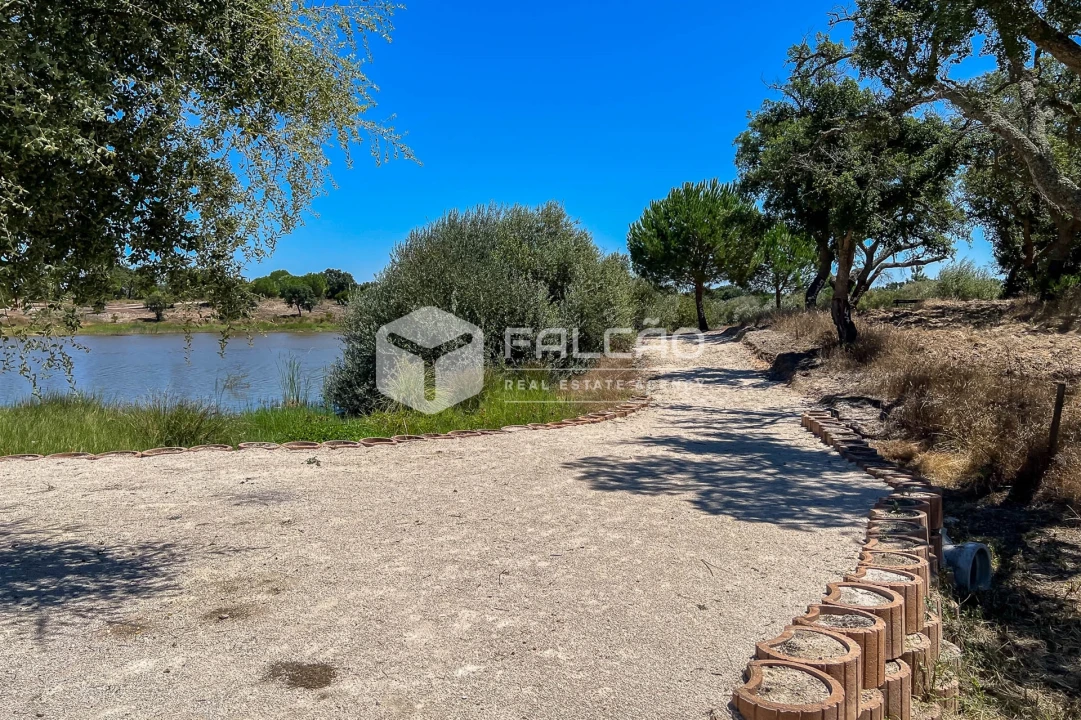 Terreno para Venda em Santo Estêvão Foto 1