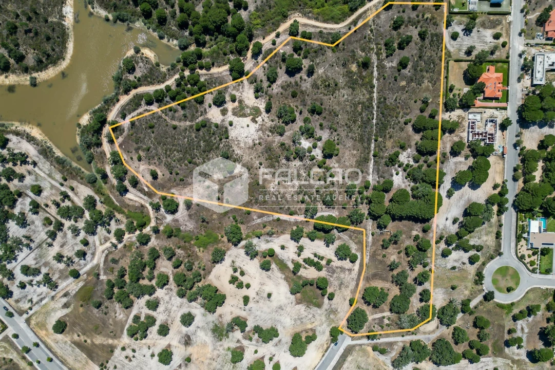 Terreno para Venda em Santo Estêvão Foto 4