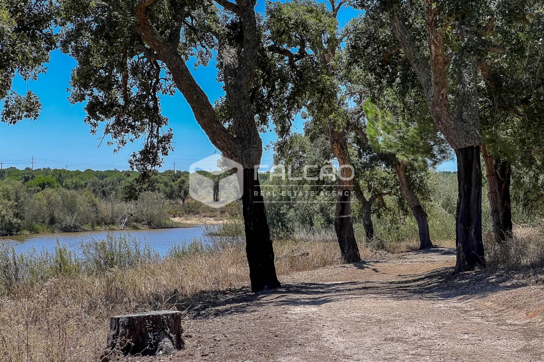 Terreno para Venda em Santo Estêvão Foto 3