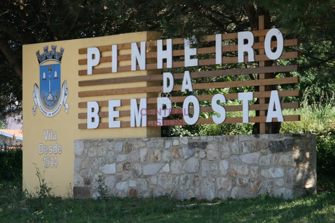 Terreno para Venda em Pinheiro da Bemposta, Travanca e Palmaz Foto 6
