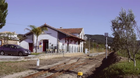 Terreno para Venda em Pinheiro da Bemposta, Travanca e Palmaz