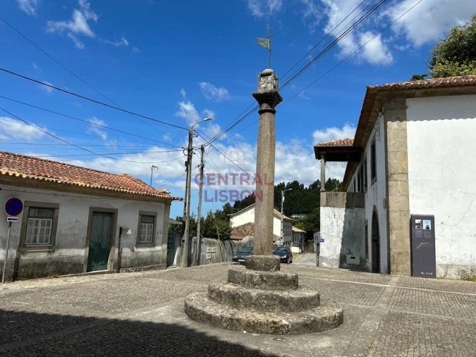 Terreno para Venda em Pinheiro da Bemposta, Travanca e Palmaz Foto 9