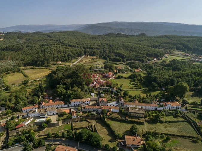 Terreno para Venda em Pinheiro da Bemposta, Travanca e Palmaz Foto 5