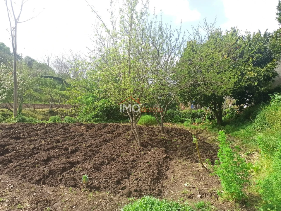Terreno Agricola ou Rústico para Venda em Santiago Maior Foto 44