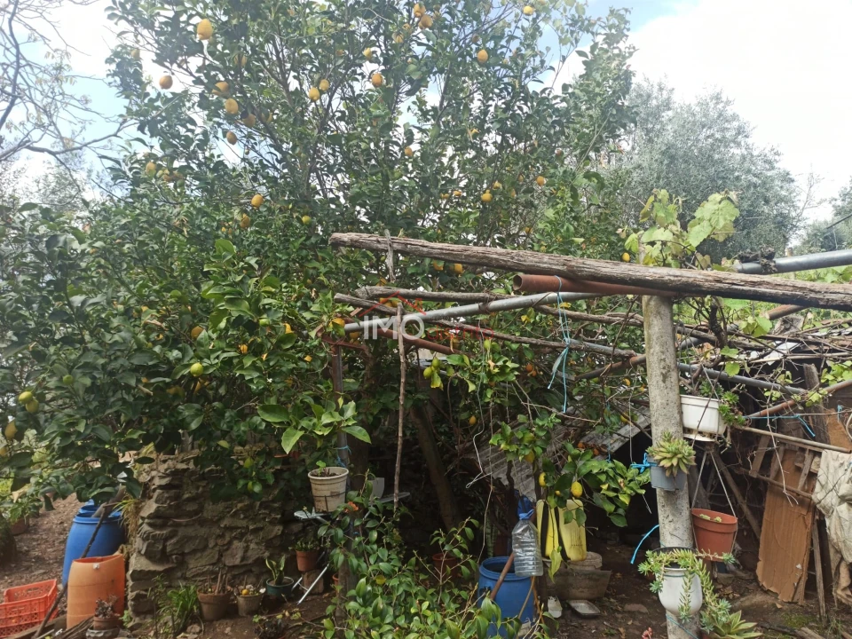 Terreno Agricola ou Rústico para Venda em Santiago Maior Foto 51