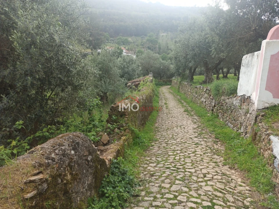 Terreno Agricola ou Rústico para Venda em Santiago Maior Foto 61