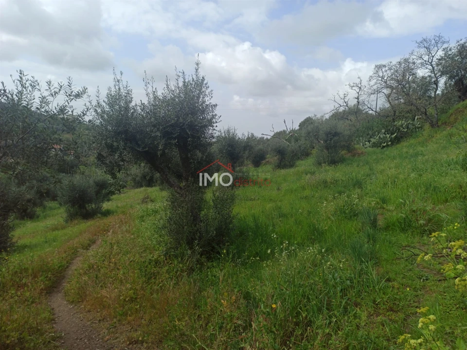 Terreno Agricola ou Rústico para Venda em Santiago Maior Foto 58