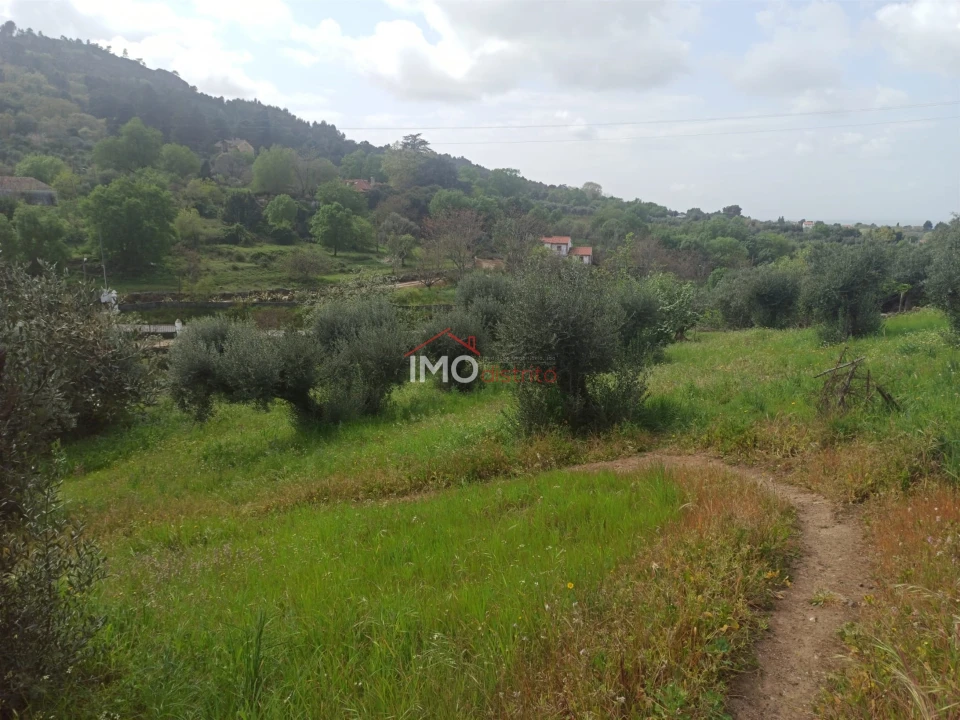 Terreno Agricola ou Rústico para Venda em Santiago Maior Foto 55