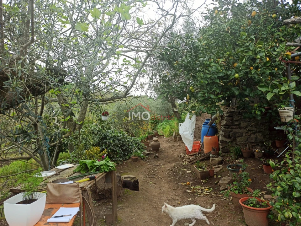 Terreno Agricola ou Rústico para Venda em Santiago Maior Foto 18