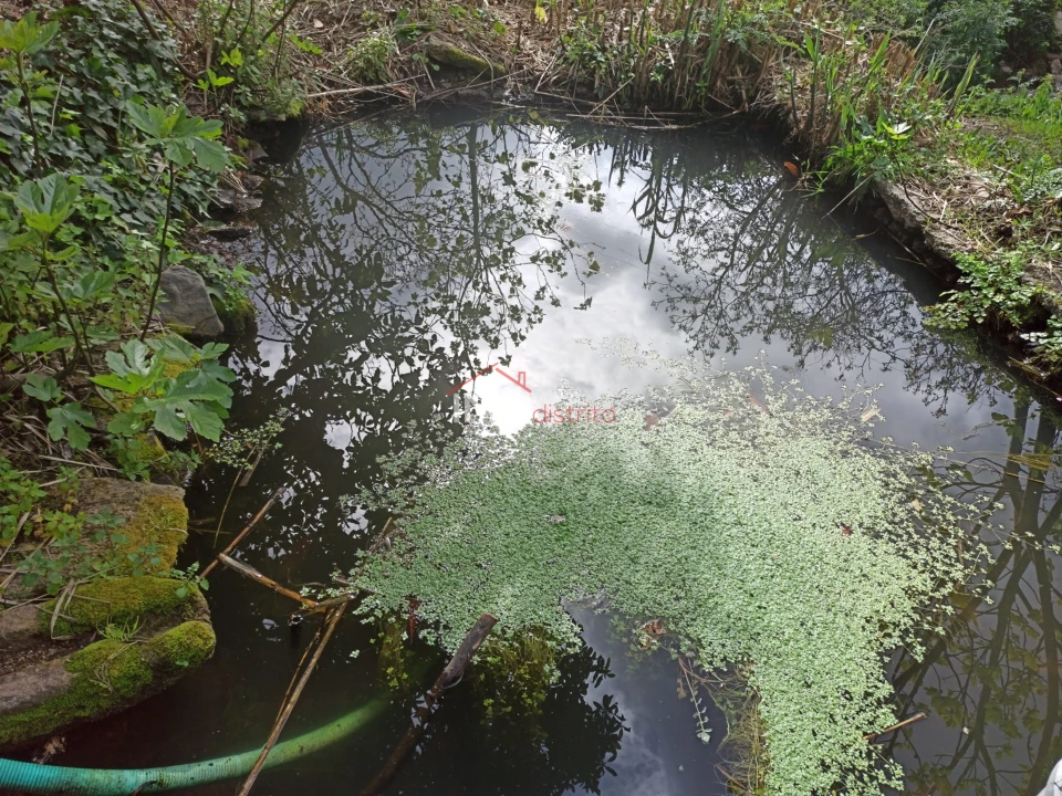 Terreno Agricola ou Rústico para Venda em Santiago Maior Foto 30