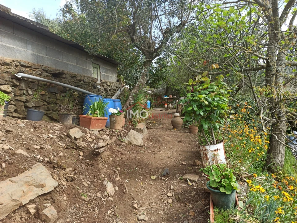 Terreno Agricola ou Rústico para Venda em Santiago Maior Foto 24