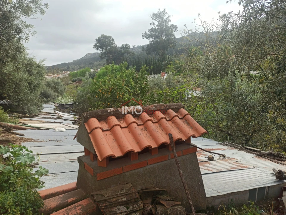 Terreno Agricola ou Rústico para Venda em Santiago Maior Foto 15