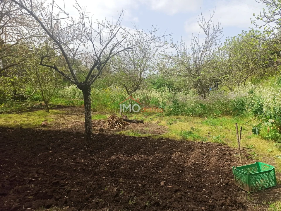 Terreno Agricola ou Rústico para Venda em Santiago Maior Foto 48