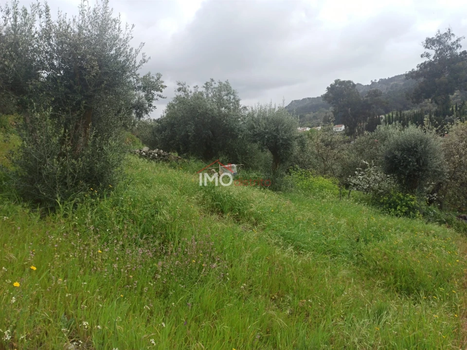 Terreno Agricola ou Rústico para Venda em Santiago Maior Foto 11