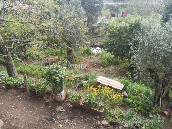 Terreno Agricola ou Rústico para Venda em Santiago Maior Foto 54