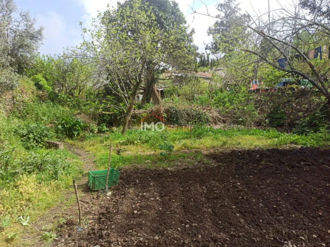 Terreno Agricola ou Rústico para Venda em Santiago Maior Foto 34