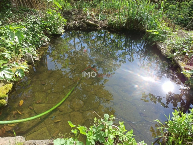 Terreno Agricola ou Rústico para Venda em Santiago Maior Foto 5