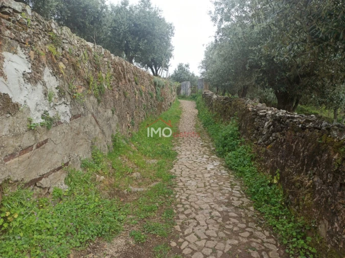Terreno Agricola ou Rústico para Venda em Santiago Maior Foto 62