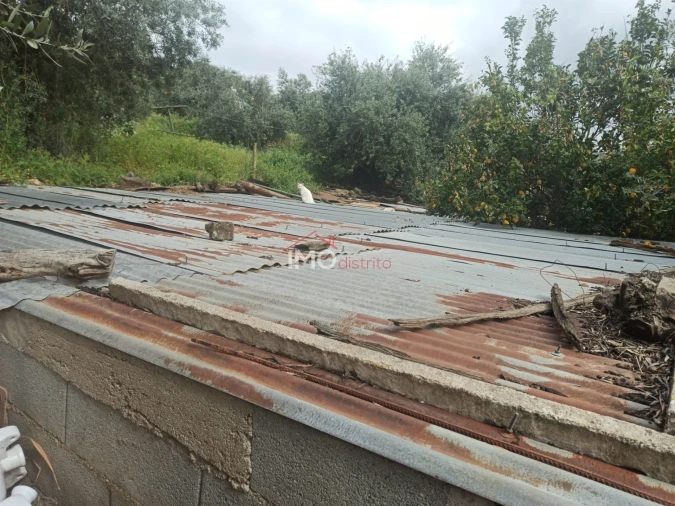 Terreno Agricola ou Rústico para Venda em Santiago Maior Foto 17