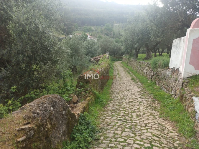 Terreno Agricola ou Rústico para Venda em Santiago Maior Foto 61