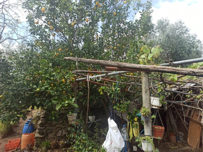 Terreno Agricola ou Rústico para Venda em Santiago Maior Foto 52