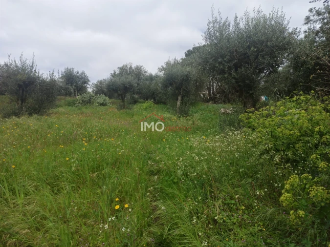 Terreno Agricola ou Rústico para Venda em Santiago Maior Foto 14