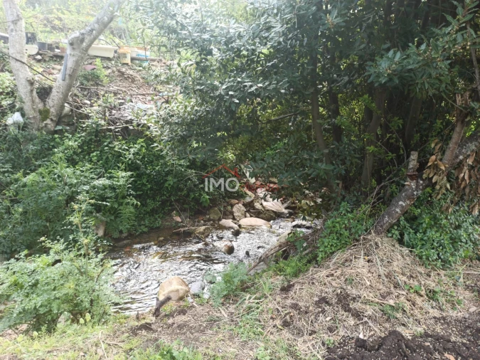 Terreno Agricola ou Rústico para Venda em Santiago Maior Foto 32