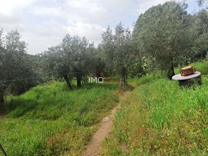 Terreno Agricola ou Rústico para Venda em Santiago Maior Foto 59