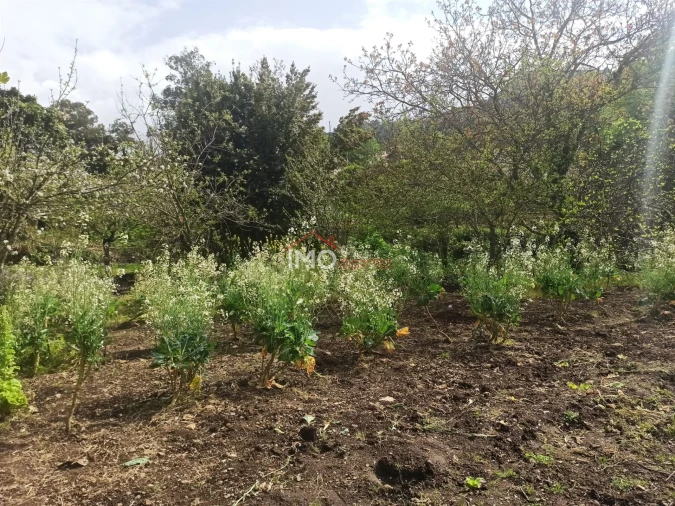 Terreno Agricola ou Rústico para Venda em Santiago Maior Foto 36