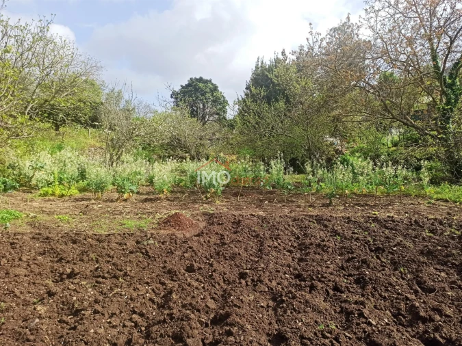 Terreno Agricola ou Rústico para Venda em Santiago Maior Foto 39