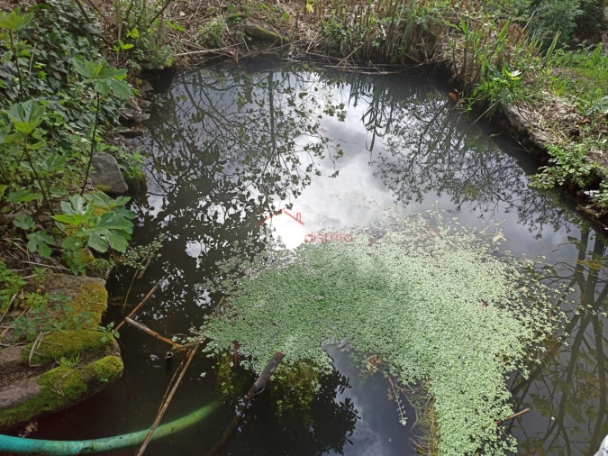 Terreno Agricola ou Rústico para Venda em Santiago Maior Foto 30