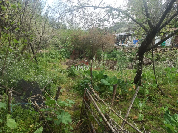 Terreno Agricola ou Rústico para Venda em Santiago Maior Foto 49