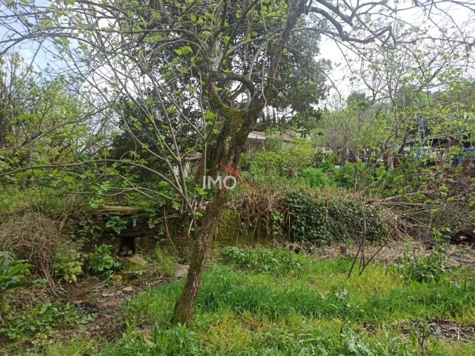 Terreno Agricola ou Rústico para Venda em Santiago Maior Foto 33
