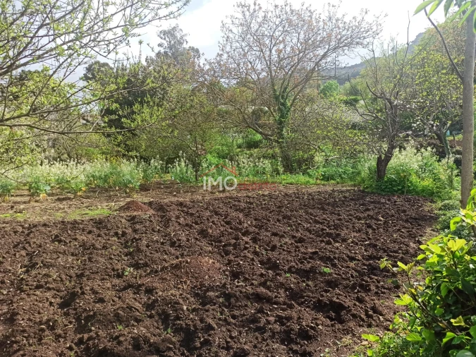 Terreno Agricola ou Rústico para Venda em Santiago Maior Foto 42