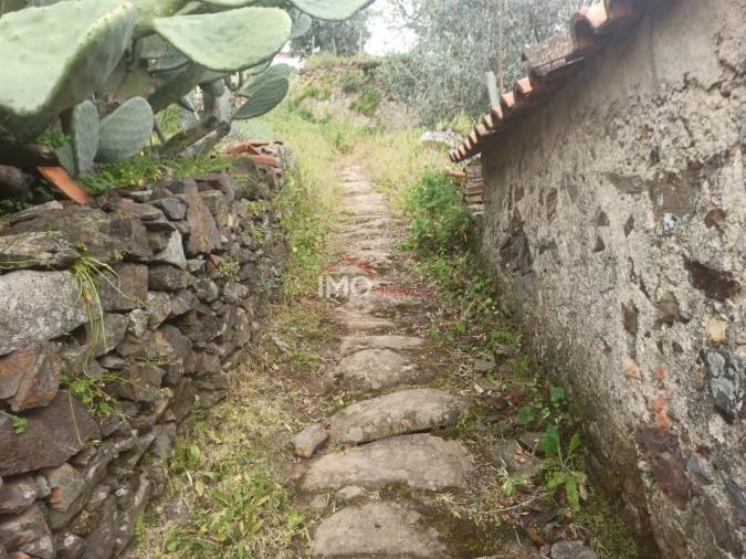 Terreno Agricola ou Rústico para Venda em Santiago Maior Foto 63