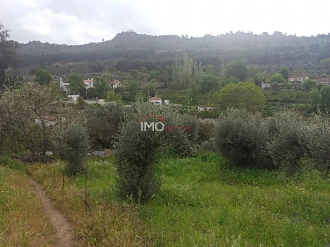 Terreno Agricola ou Rústico para Venda em Santiago Maior Foto 13