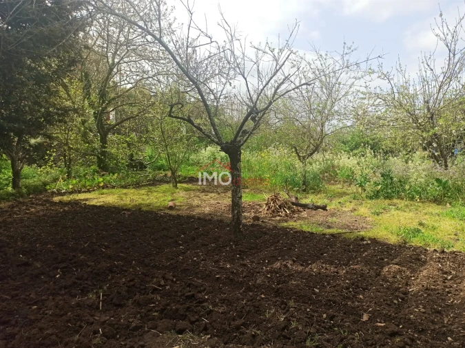 Terreno Agricola ou Rústico para Venda em Santiago Maior Foto 3