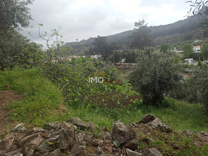 Terreno Agricola ou Rústico para Venda em Santiago Maior Foto 9