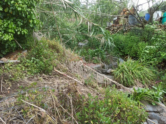 Terreno Agricola ou Rústico para Venda em Santiago Maior Foto 41