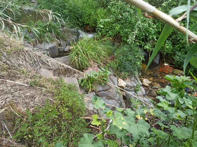Terreno Agricola ou Rústico para Venda em Santiago Maior Foto 27