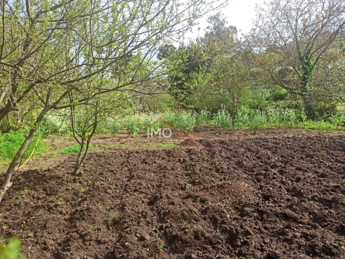 Terreno Agricola ou Rústico para Venda em Santiago Maior Foto 40