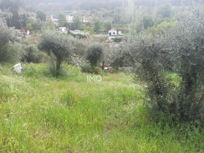 Terreno Agricola ou Rústico para Venda em Santiago Maior Foto 56