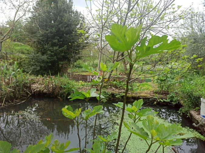 Terreno Agricola ou Rústico para Venda em Santiago Maior Foto 1
