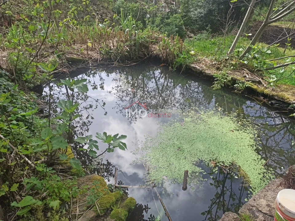 Terreno Agricola ou Rústico para Venda em Santiago Maior Foto 47