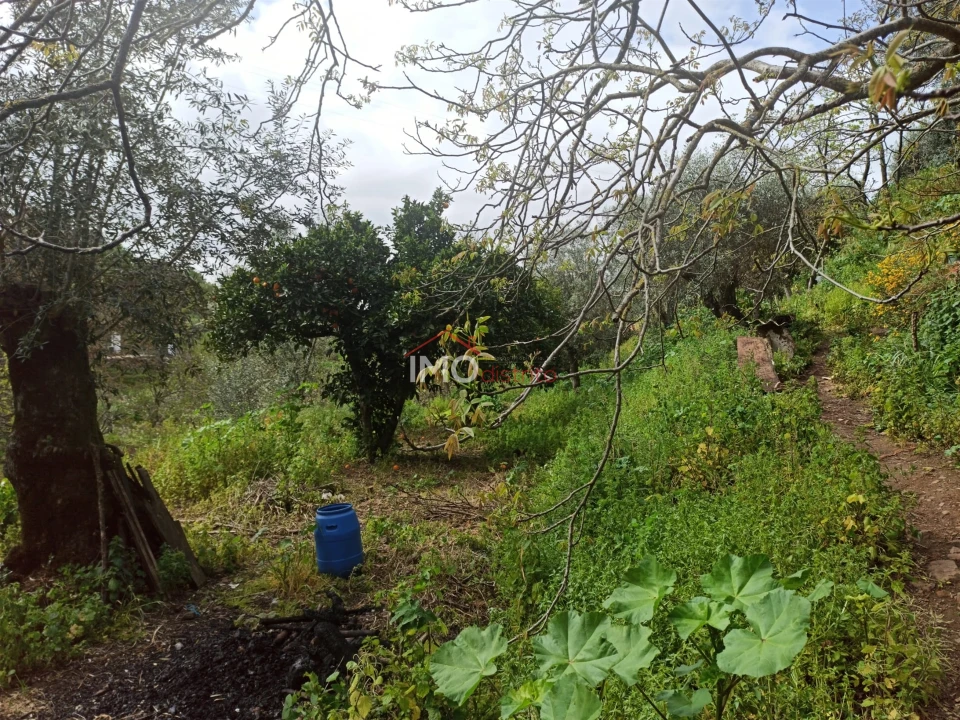 Terreno Agricola ou Rústico para Venda em Santiago Maior Foto 25