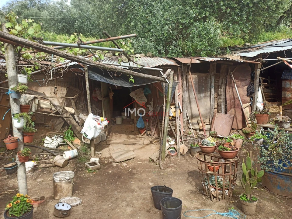 Terreno Agricola ou Rústico para Venda em Santiago Maior Foto 23