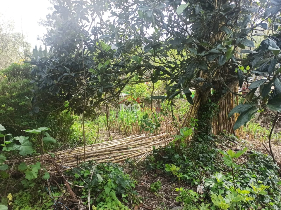 Terreno Agricola ou Rústico para Venda em Santiago Maior Foto 46