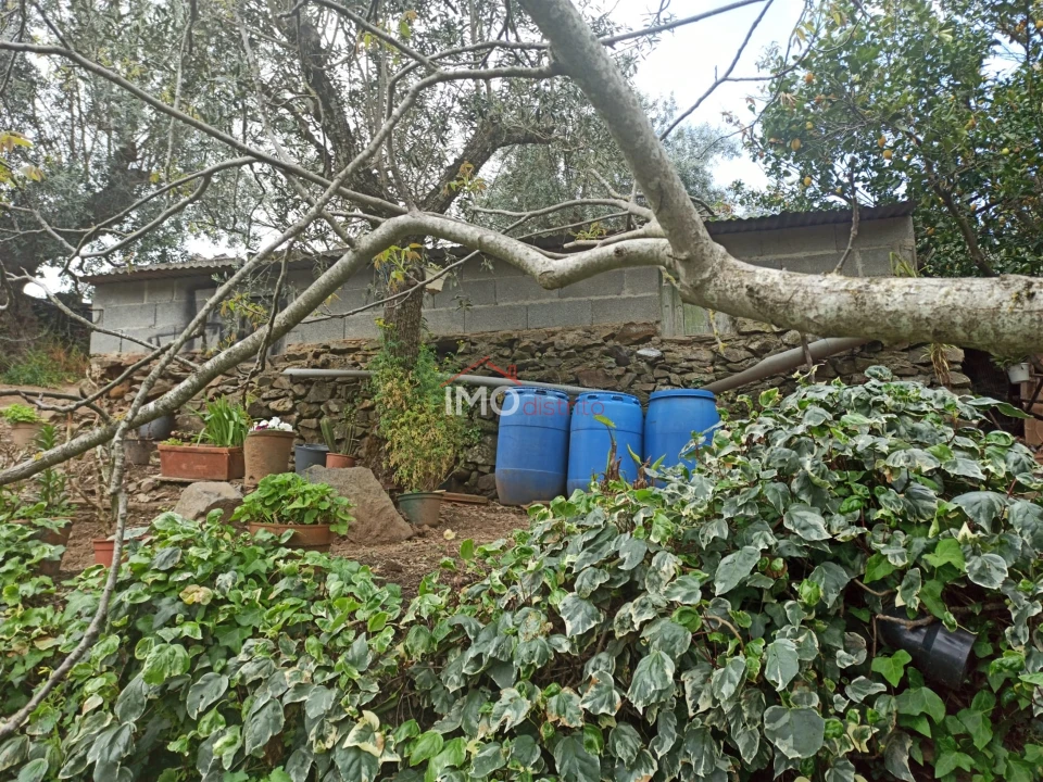 Terreno Agricola ou Rústico para Venda em Santiago Maior Foto 22