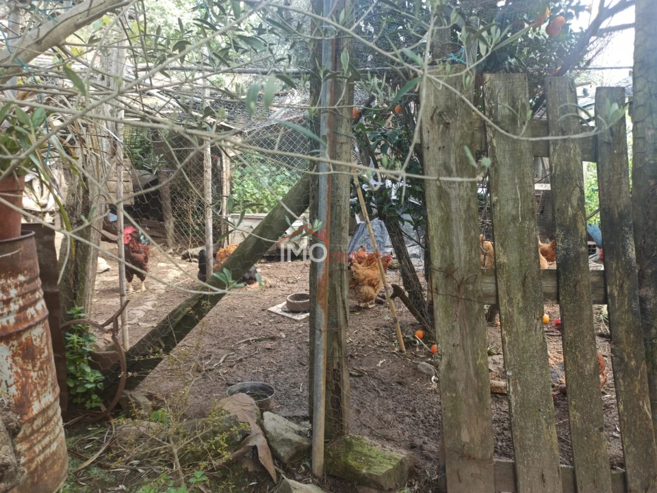Terreno Agricola ou Rústico para Venda em Santiago Maior Foto 53
